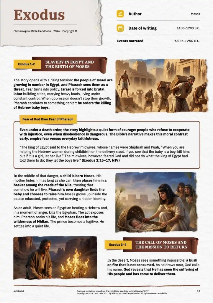 After: Visual Handbook